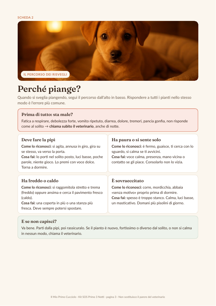 Scheda: Perché piange?
